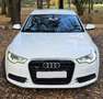 Audi A6 A6 Avant 3.0 TDI DPF quattro S tronic Weiß - thumbnail 8