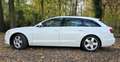 Audi A6 A6 Avant 3.0 TDI DPF quattro S tronic Weiß - thumbnail 6