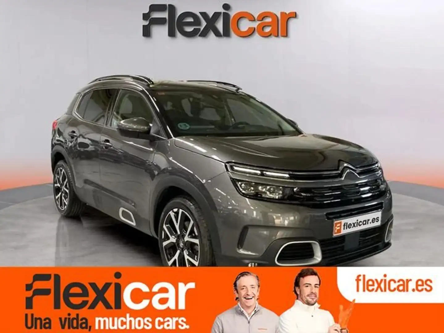 Citroen C5 Aircross BlueHdi 96kW (130CV) S&S Shine Gris - 1