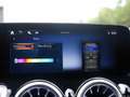 Mercedes-Benz EQB 250 250+ Pano Noir - thumbnail 21