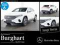 Mercedes-Benz EQA 350 EQA 350 4M Progressive/Navi/Klima/LED Park-Assist. Bílá - thumbnail 1