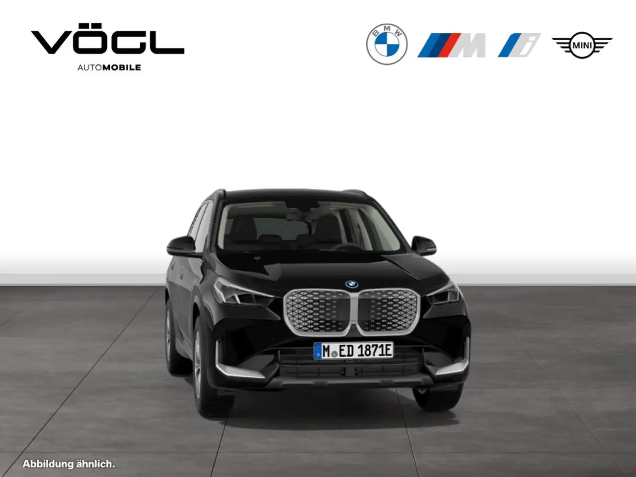 BMW iX1 eDrive20 DAB Parkassistent Shz 10