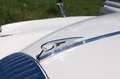 Jaguar Daimler 2.5 V8 / MK2 Rechtslenker Top Blanco - thumbnail 16