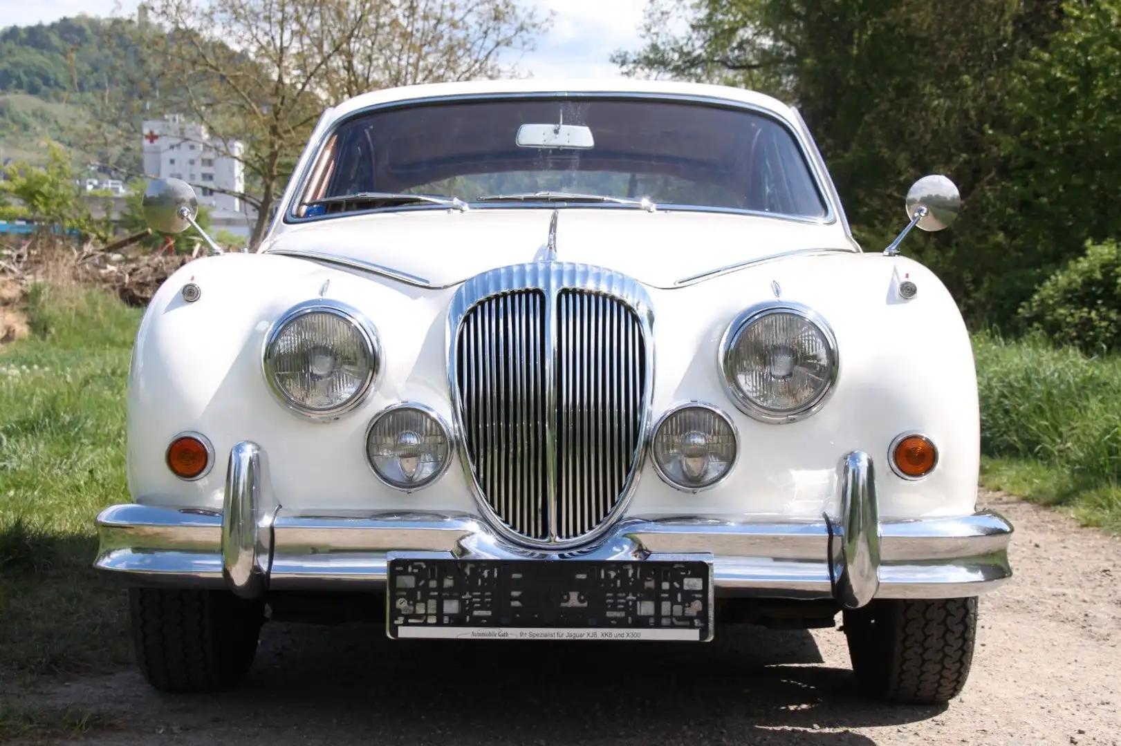 Jaguar Daimler 2.5 V8 / MK2 Rechtslenker Top Blanco - 1