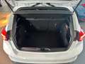 Ford Focus Lim. ST-Line #AUTOMATIK #KAMERA #NAVI Blanc - thumbnail 12