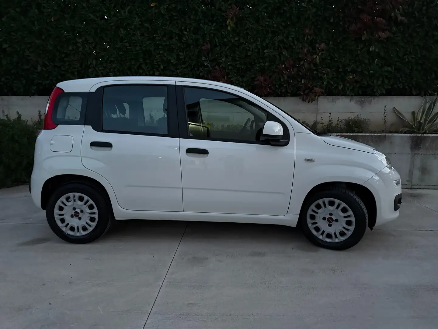Fiat Panda III 1.3 mjt 16v Lounge Blanc - 2