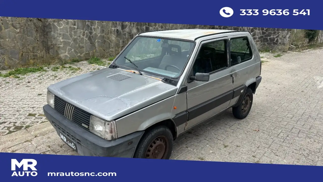 Fiat Panda 1.0 4x4 my86 UNICO PROPRIETARIO, foto 1