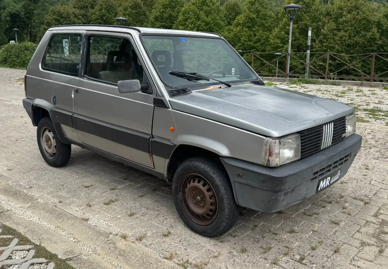 Fiat Panda 1.0 4x4 my86 UNICO PROPRIETARIO, foto 2