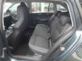 Skoda Rapid/Spaceback SPACEBACK 1.0 TSI Gris - thumbnail 8