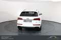 Audi Q5 50 TFSI e PHEV quattro S-line+*B&O*BlackOptikpa... Weiß - thumbnail 8