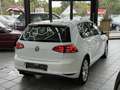 Volkswagen Golf VII 2.0 TDI Highline, Standheiz., Klima Weiß - thumbnail 3