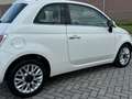 Fiat 500 0.9 TwinAir Turbo Lounge KMST NAP! Pano l Airco l Wit - thumbnail 41