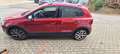Volkswagen Polo Cross Polo 1.2 TSI (Blue Motion Technology) Cross Polo Rosso - thumbnail 7