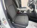 Volkswagen Golf Rabbit 2,0 TDI/ACC/Kamera Weiß - thumbnail 18