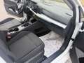 Volkswagen Golf Rabbit 2,0 TDI/ACC/Kamera Weiß - thumbnail 17