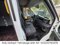 Ford Transit Kasten 350 L3 Trend Blanco - thumbnail 29
