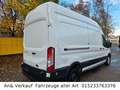 Ford Transit Kasten 350 L3 Trend Blanco - thumbnail 8