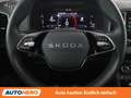 Skoda Karoq 2.0 TDI Selection Grau - thumbnail 19