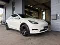Tesla Model Y RWD Basis / AHK / Reifen NEU Weiß - thumbnail 18
