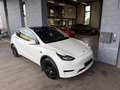 Tesla Model Y RWD Basis / AHK / Reifen NEU Weiß - thumbnail 16