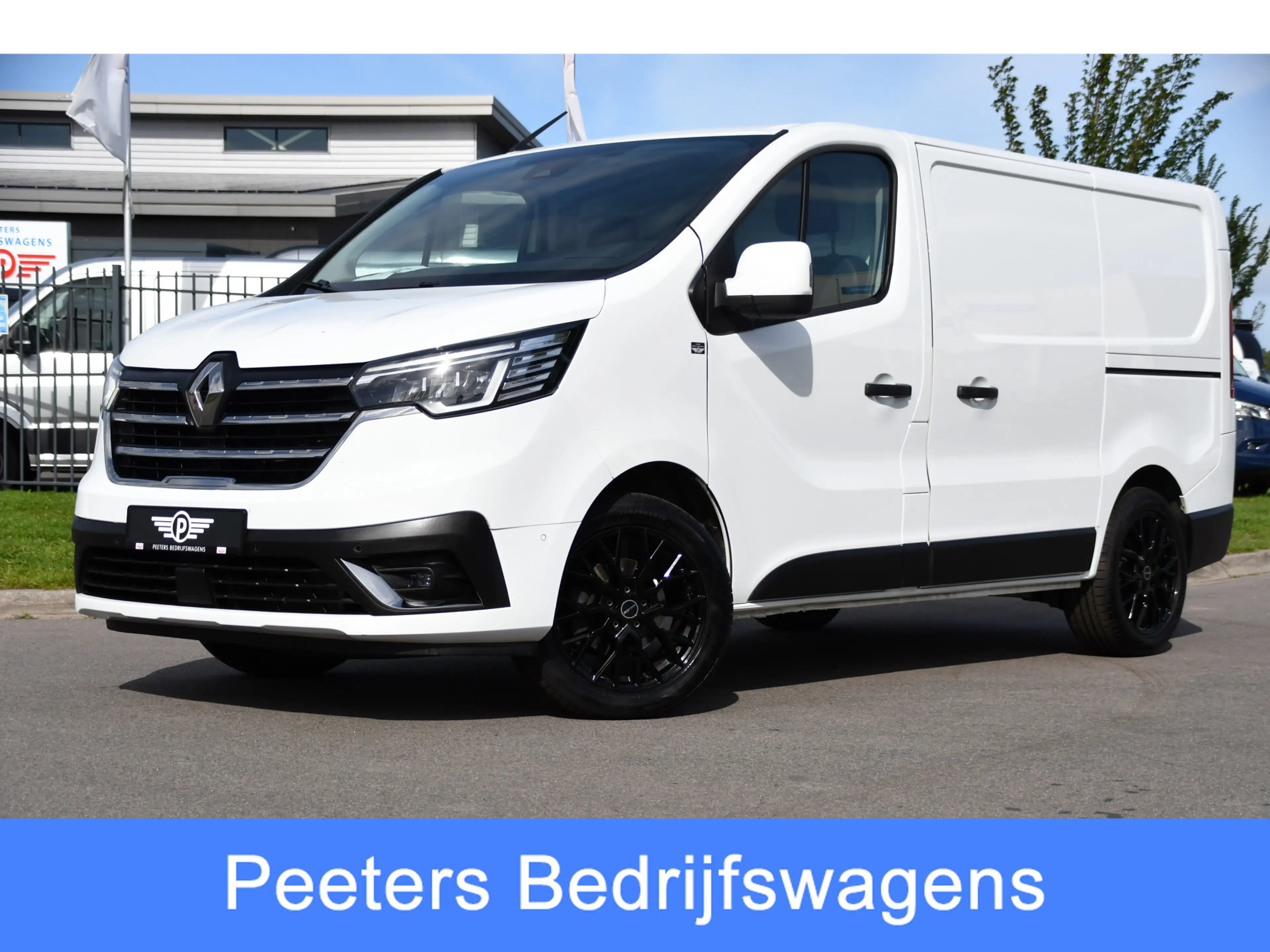 Renault Trafic 2.0 dCi 150 T29 L1H1 PB Edition Camer, Cruise, Car