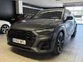 Audi SQ5 SQ5 TDI quattro tiptronic 255kW Gris - thumbnail 26