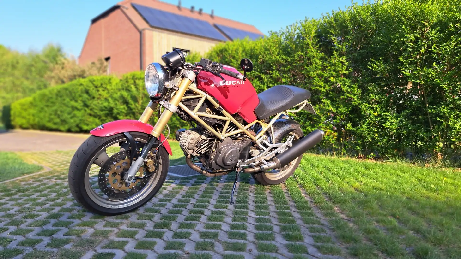 Ducati Monster 600 Rouge - 1