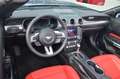 Ford Mustang 5,0 Ti-VCT V8 GT Cabrio Aut.Leder Navi LED VOLL Blau - thumbnail 9