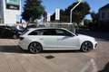 Audi A4 30 TDI/136 CV S tronic S line edition Bianco - thumbnail 6