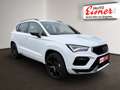 CUPRA Ateca 1.5 TSI DSG 150 Ö-Paket, Panorama Glasdach Weiß - thumbnail 18