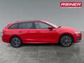 Skoda Octavia Combi 1,5 TSI e-TEC Style DSG Rot - thumbnail 6