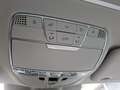 Mercedes-Benz S 350 S 350 BlueTec / d 4Matic (222.033) Gris - thumbnail 16