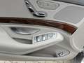 Mercedes-Benz S 350 S 350 BlueTec / d 4Matic (222.033) Gris - thumbnail 9
