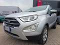 Ford EcoSport 1.0 EcoBoost 100 CV Zilver - thumbnail 20