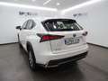Lexus NX 300 300h Business Navigation 2WD Fehér - thumbnail 7