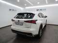 Lexus NX 300 300h Business Navigation 2WD Blanc - thumbnail 5