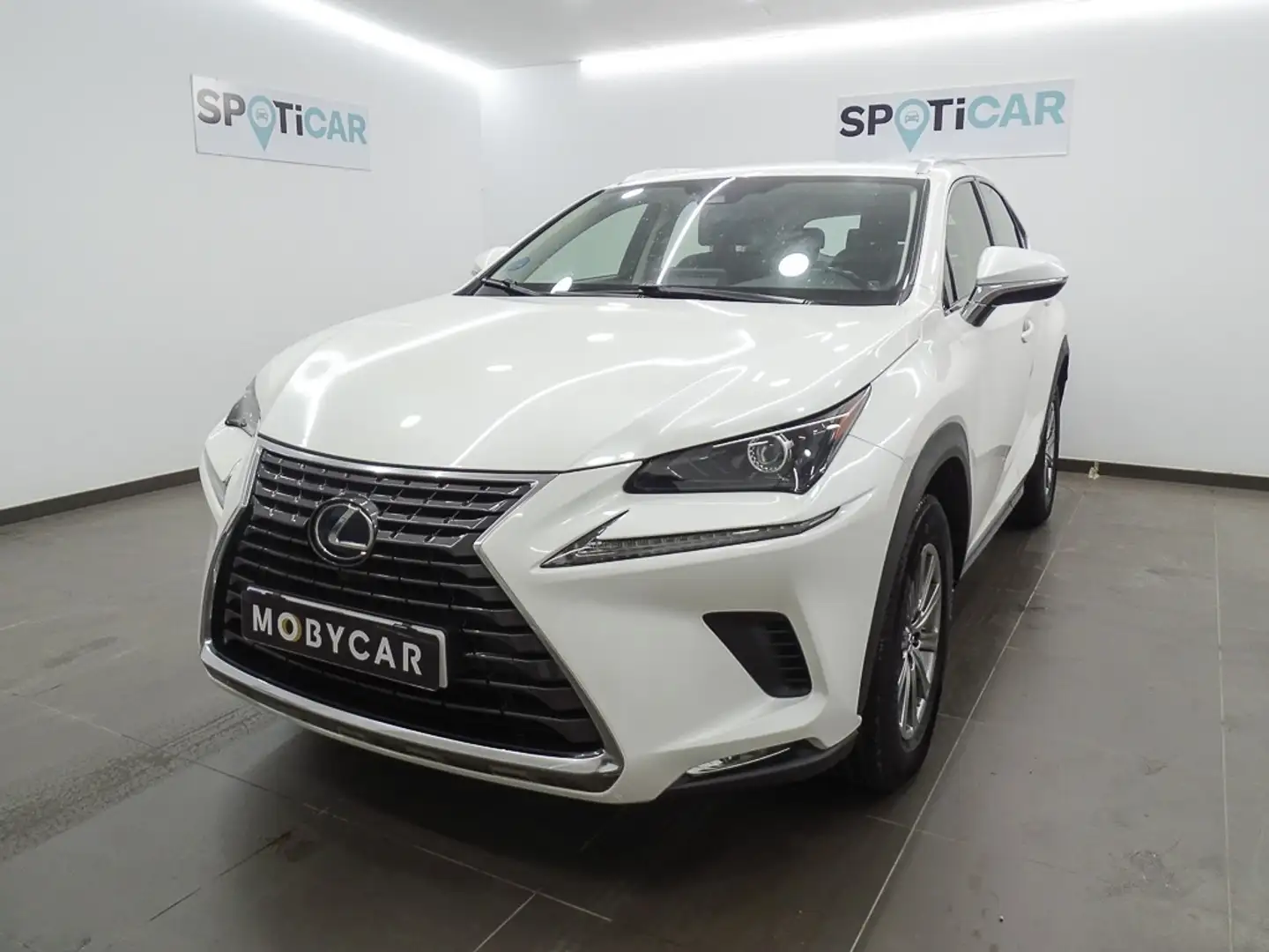 Lexus NX 300 300h Business Navigation 2WD Blanc - 1