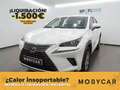 Lexus NX 300 300h Business Navigation 2WD Blanc - thumbnail 1