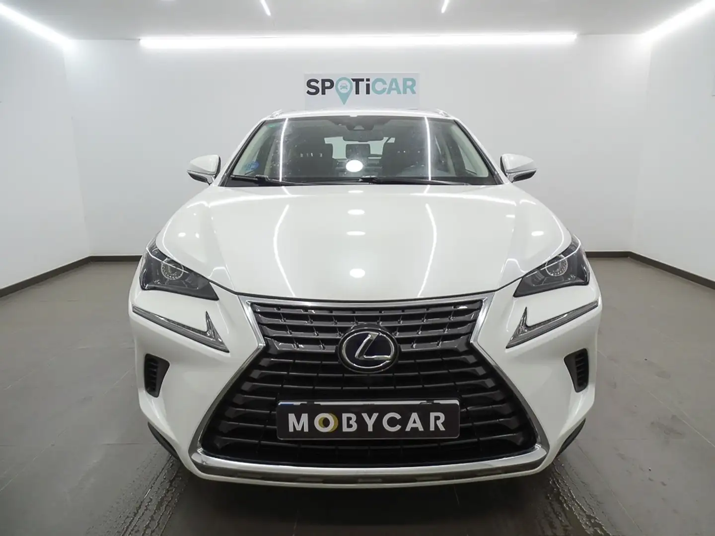 Lexus NX 300 300h Business Navigation 2WD Blanc - 2