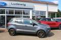 Ford EcoSport Titanium Winterpaket PDC Zahnriemen NEU Gris - thumbnail 2