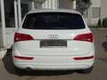 Audi Q5 2.0 TDI S tronic quattro Navi AHK Spurw.Assis Weiß - thumbnail 5