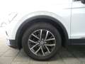 Volkswagen Tiguan 2.0 TDI BMT Comfortline AHK NAVI ACC SRA Weiß - thumbnail 15