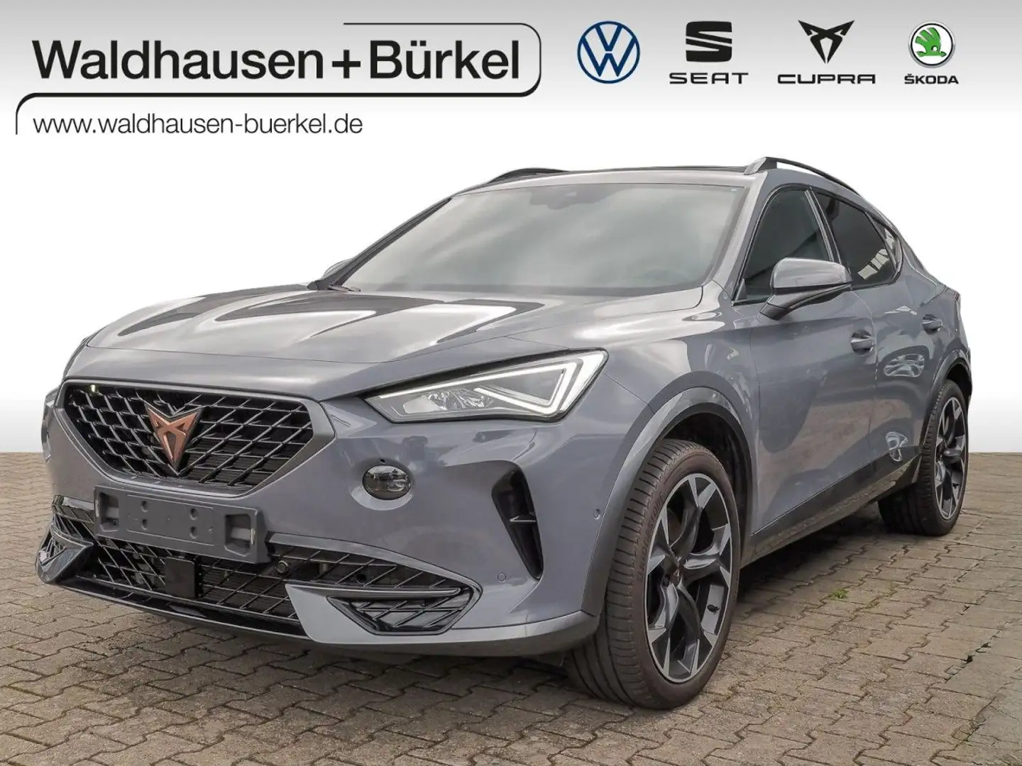 CUPRA Formentor VZ 2.0 TSI 4Drive+AHK+Pano+E-Sitze Grijs - 1