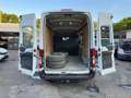 Ford Transit Kasten 4x4/H3+L2/3.Stz/KLIMA/AHK/ALLRAD Weiß - thumbnail 17