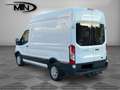 Ford Transit Kasten 4x4/H3+L2/3.Stz/KLIMA/AHK/ALLRAD Weiß - thumbnail 5