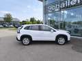 Suzuki S-Cross 1.4 Boosterjet Hybrid - Edition Blanco - thumbnail 5