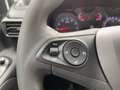 Opel Combo E Cargo 1.5 D Edition 3Sitze/Klima/PDC Blanco - thumbnail 19