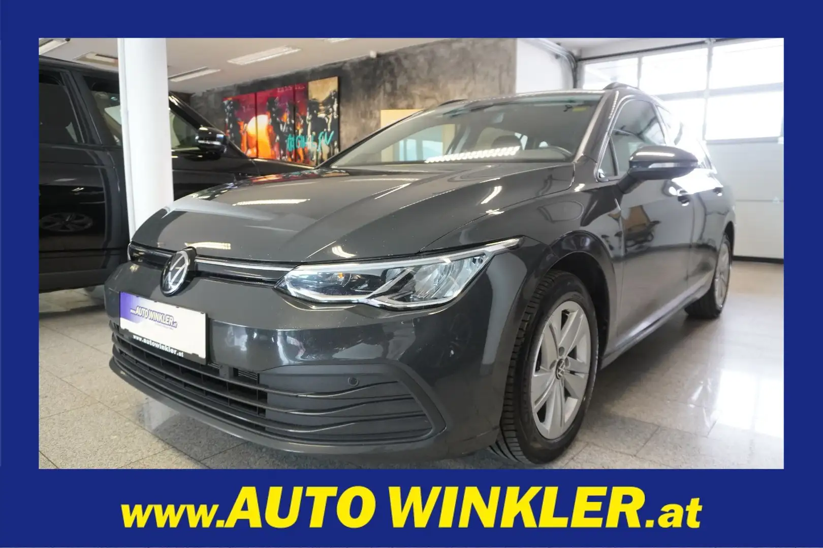 Volkswagen Golf Variant 1,0 TSI Life Kamera/PDC/LED Grau - 1