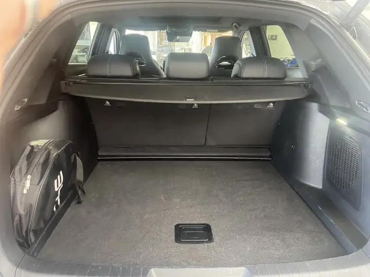 BYD Dolphin 2025, foto 13