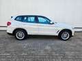 BMW X3 xDrive 20d *NAVI*LED*AHK*HiFi*LENKRADHEIZUNG Weiß - thumbnail 4